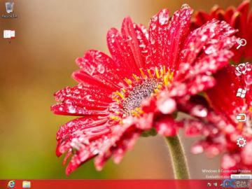 win8_seminiciar-360px.jpg