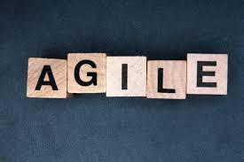 Desenvolvimento Ágil ou desenvolvimento Waterfall? 1 agileCIO