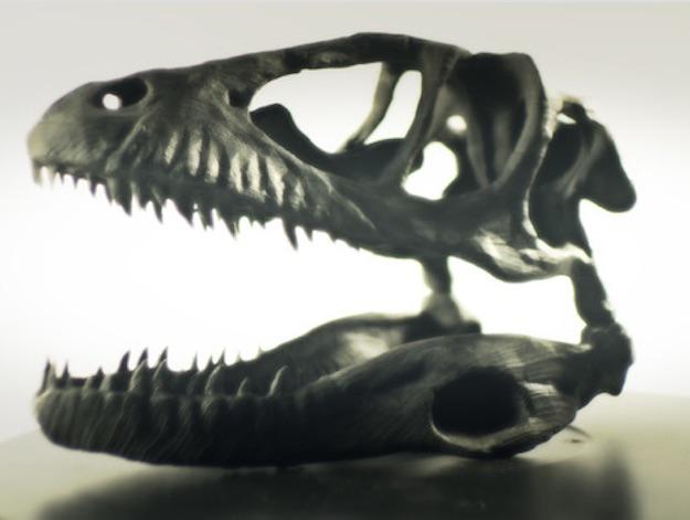 dino625