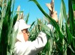 Monsanto confirma invasão de servidor