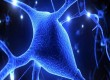 IBM anuncia chip que simula sinapses cerebrais