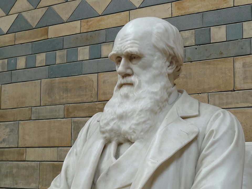 São duas as opções: reinventar os modelos de negócio ou desaparecer 1 darwin