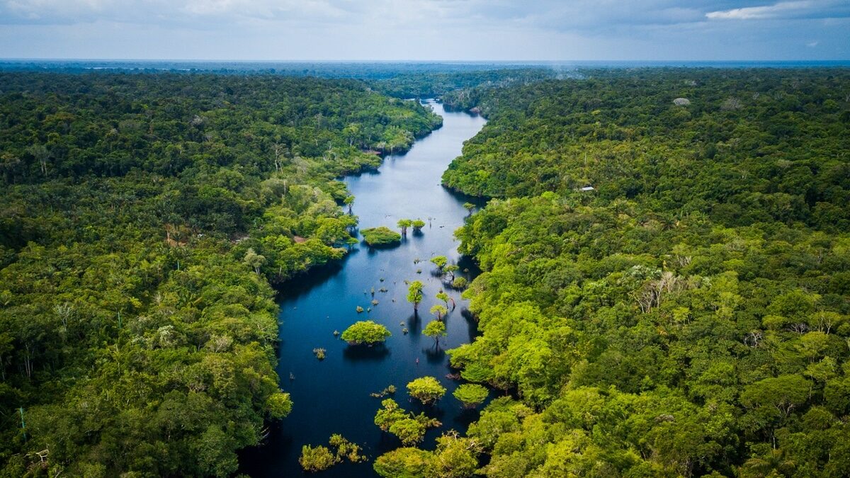 floresta tropical amazonica com rio e céu, bioeconomia