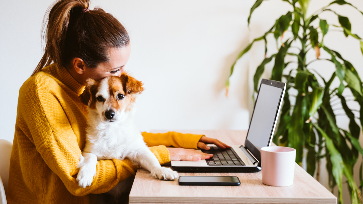 mulher trabalhando notebook home office cachorro