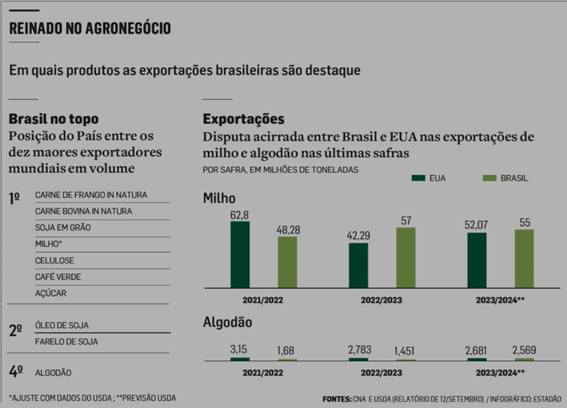 IMAGEM 1 A importância do Brasil para o mundo