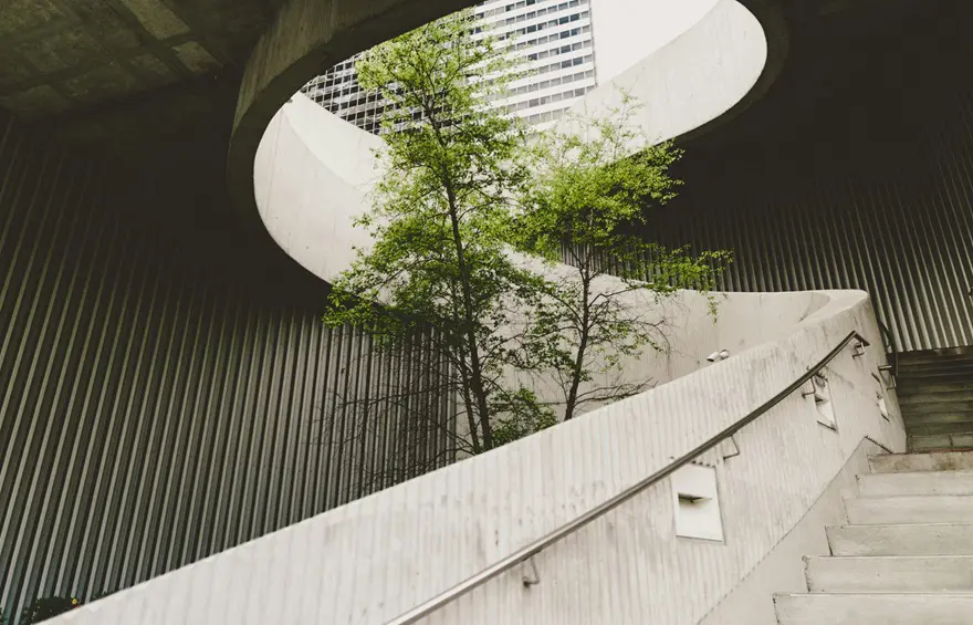 Escada de concreto em formato curvo com uma árvore verde ao meio, simbolizando sustentabilidade.