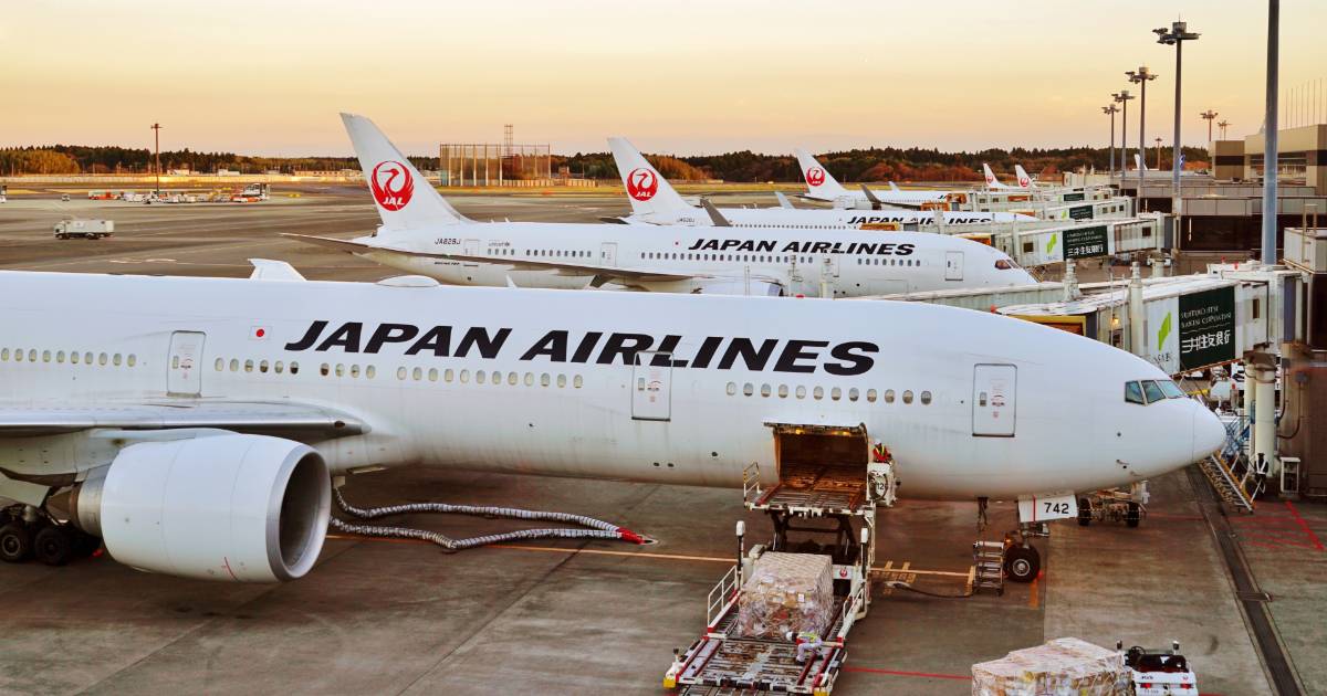 Aviões da Japan Airlines estacionados no aeroporto, com operações de carga e embarque em andamento, representando transporte aéreo e logística internacional