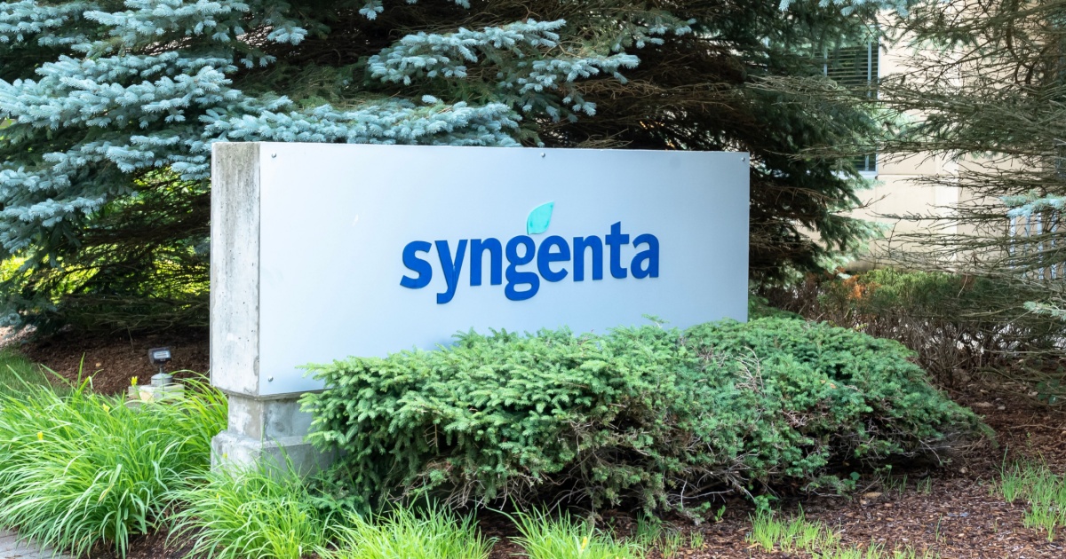 Placa com o logotipo da empresa Syngenta em destaque, localizada em um ambiente externo. A placa é branca, com a palavra "syngenta" escrita em azul e um detalhe de folha verde no topo da letra "g". Ela está rodeada por vegetação, incluindo arbustos e árvores, compondo um cenário natural e bem cuidado. (syngenta, agro)