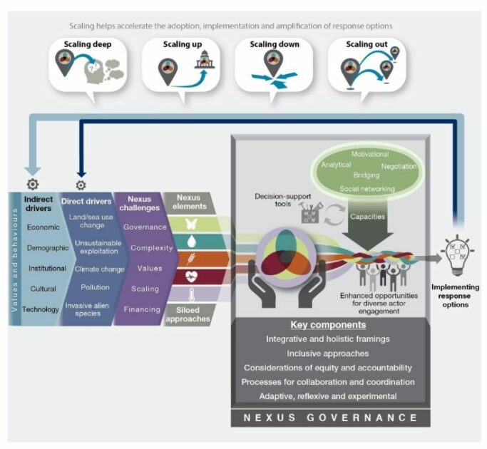 FIGURA 3 Biodiversidade: conexões para ser efetiva, duradoura e resiliente