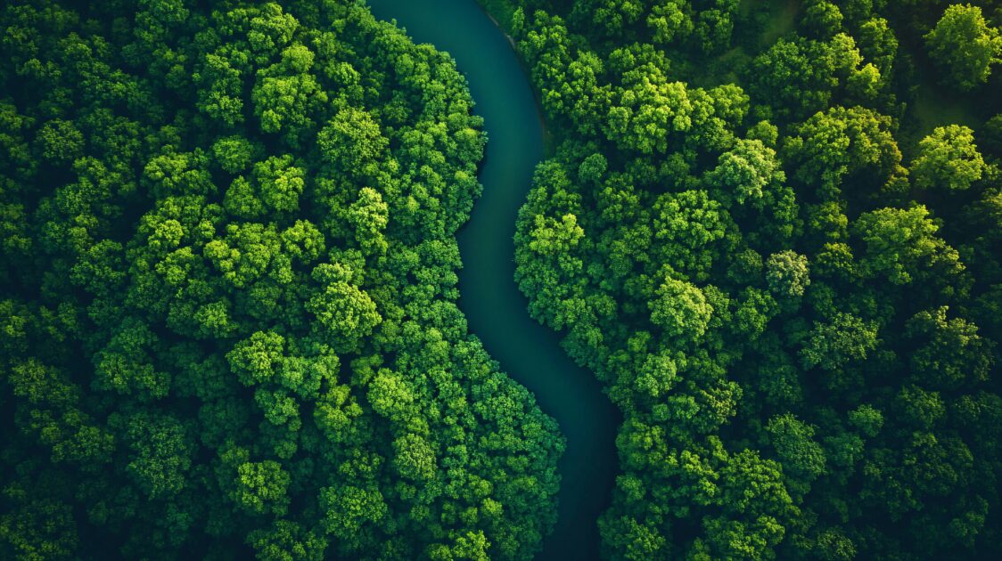 A imagem aérea mostra um rio sinuoso de águas escuras cortando uma densa floresta verde. A vegetação exuberante forma um contraste vibrante com o curso d’água, criando uma paisagem natural impressionante. A iluminação suave destaca diferentes tons de verde, enfatizando a riqueza e diversidade da flora. A cena transmite uma sensação de tranquilidade e equilíbrio ambiental (projetos)